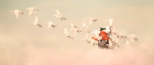 изображение галереи 1