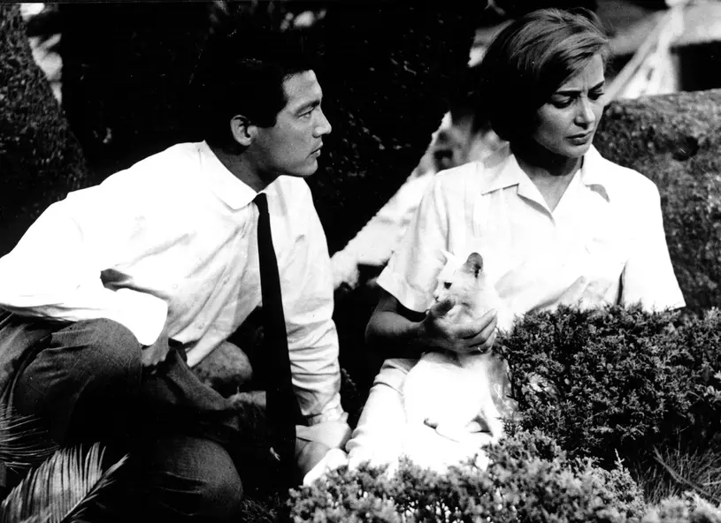 изображение галереи 1