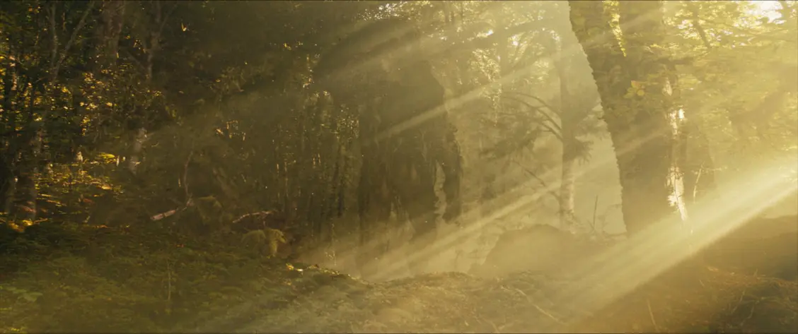 изображение галереи 1