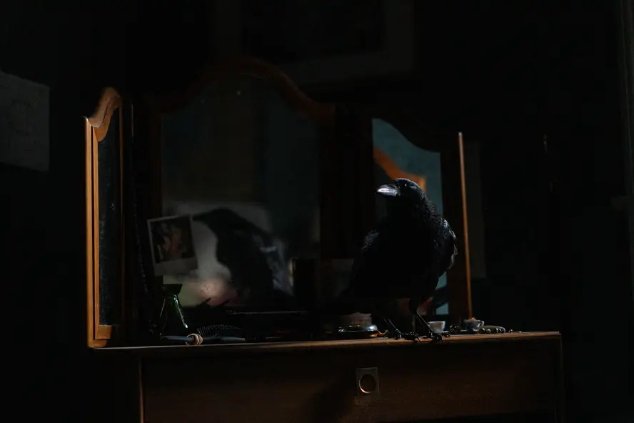 изображение галереи 1