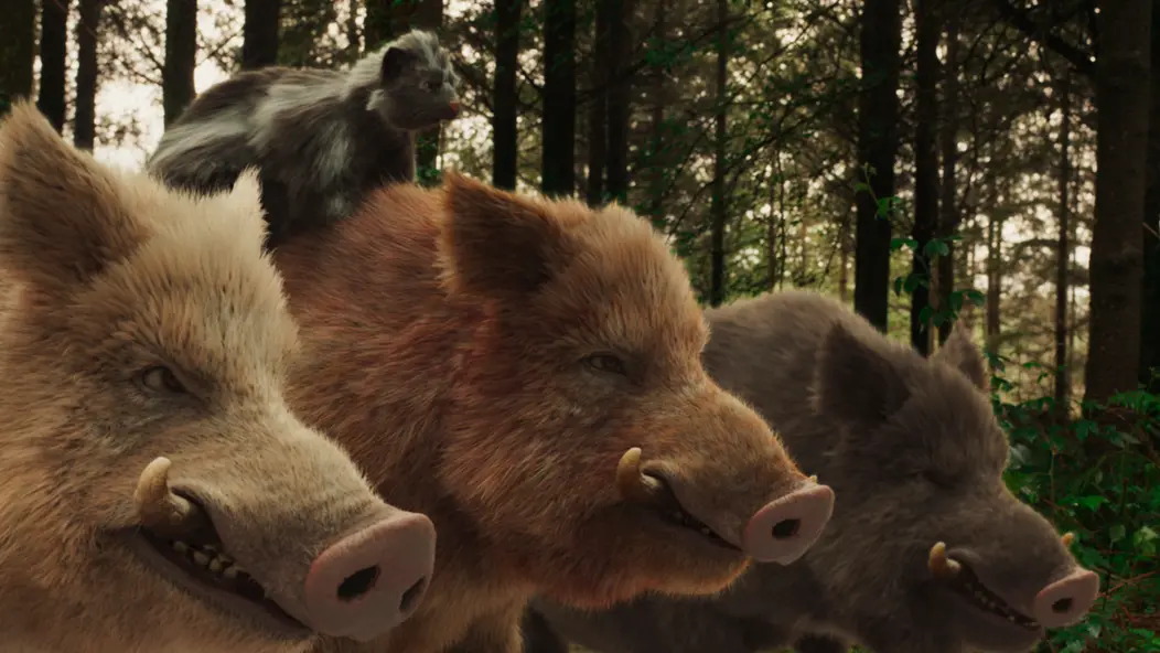 изображение галереи 1