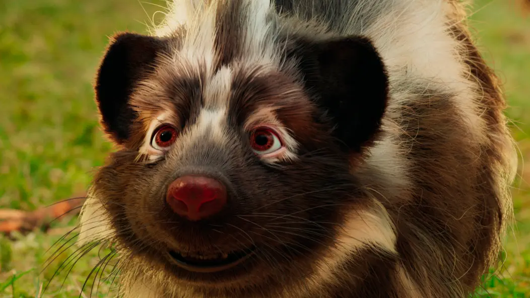 изображение галереи 1