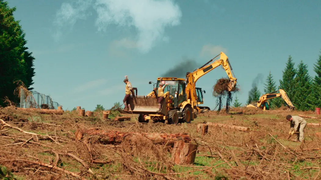 изображение галереи 1