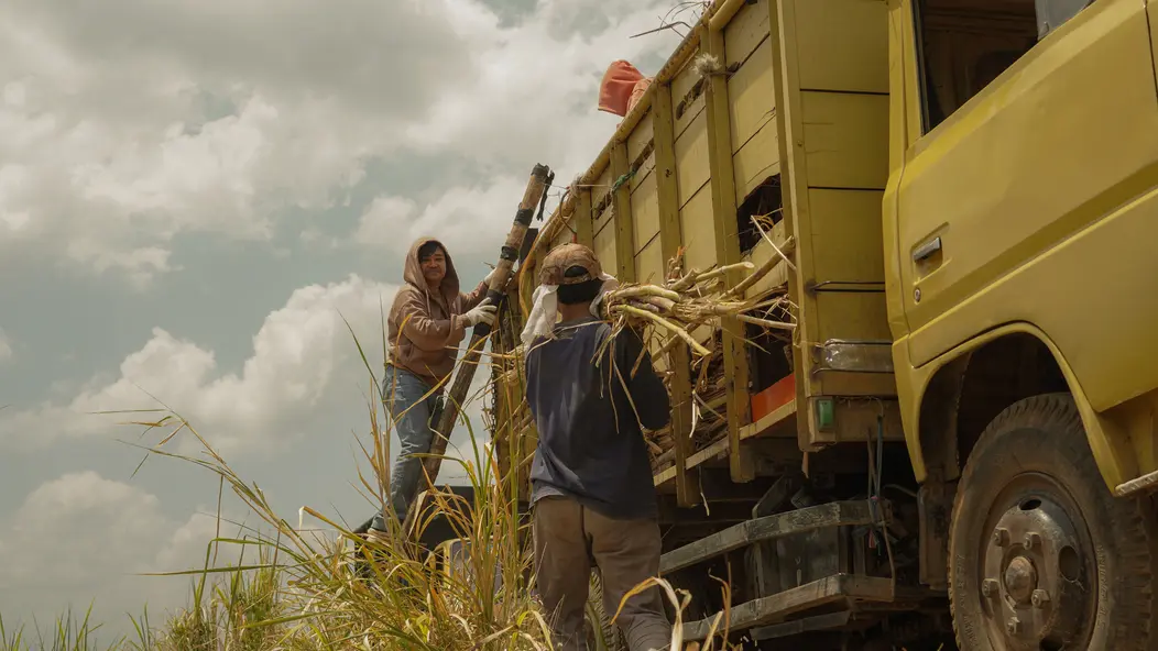 изображение галереи 1