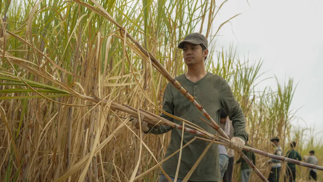 изображение галереи 1