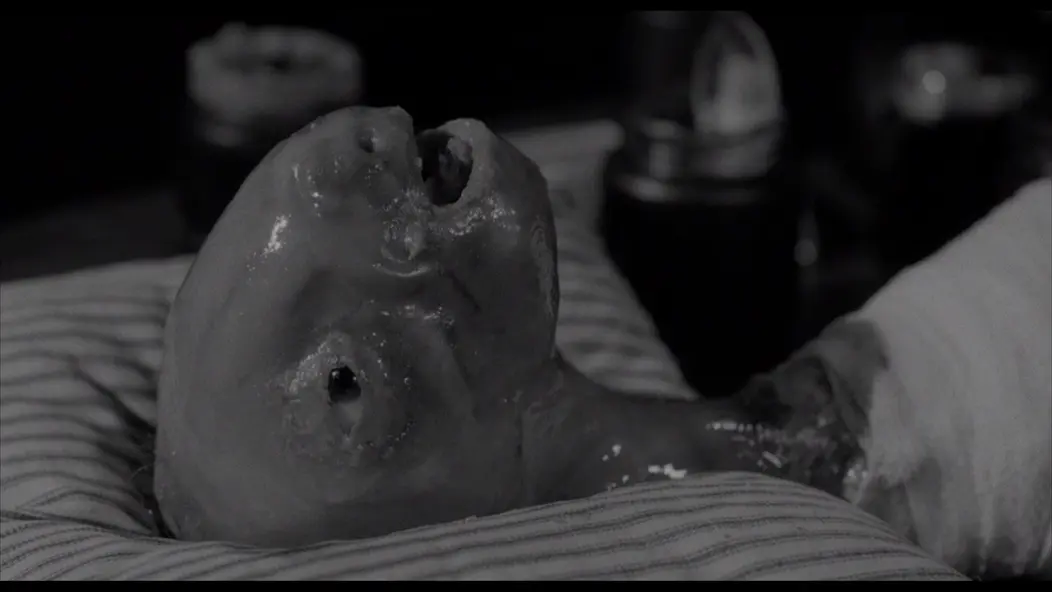 изображение галереи 1