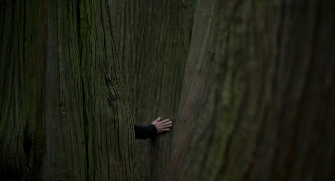 изображение галереи 1