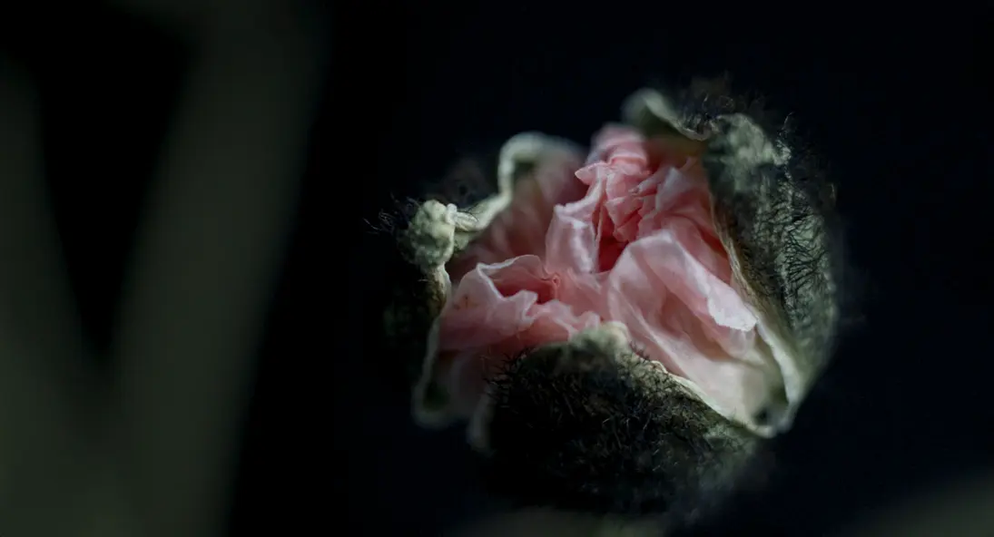 изображение галереи 1