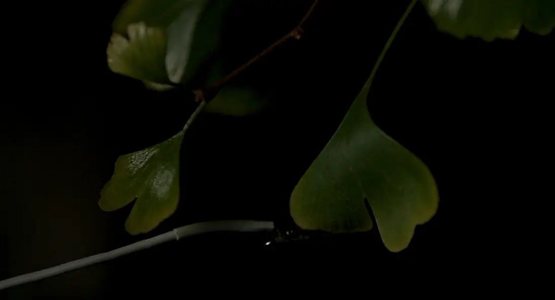 изображение галереи 1