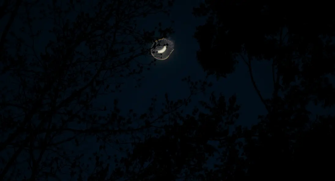 изображение галереи 1