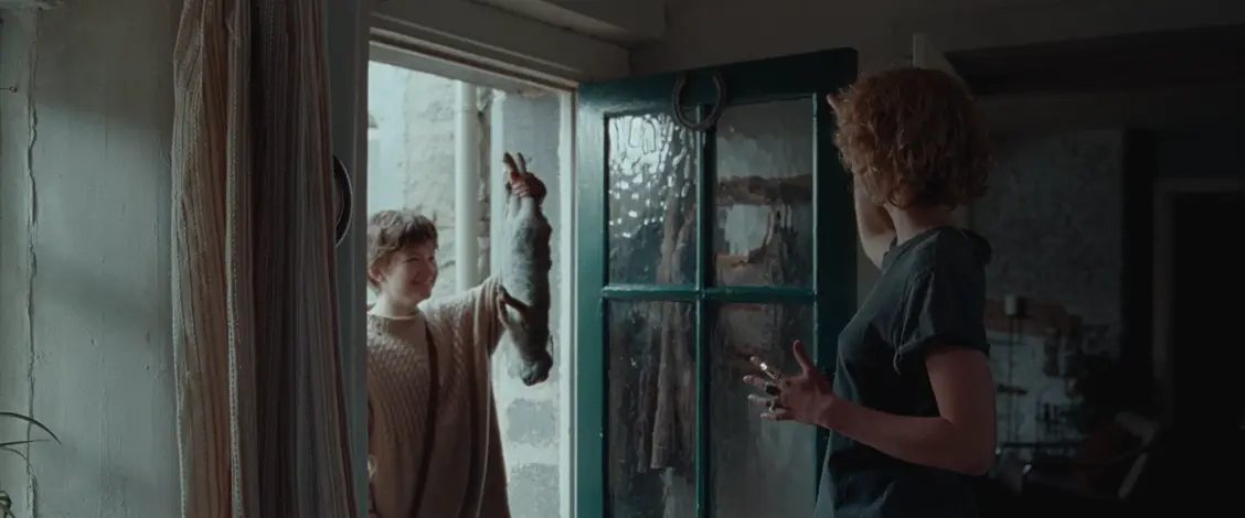 изображение галереи 1