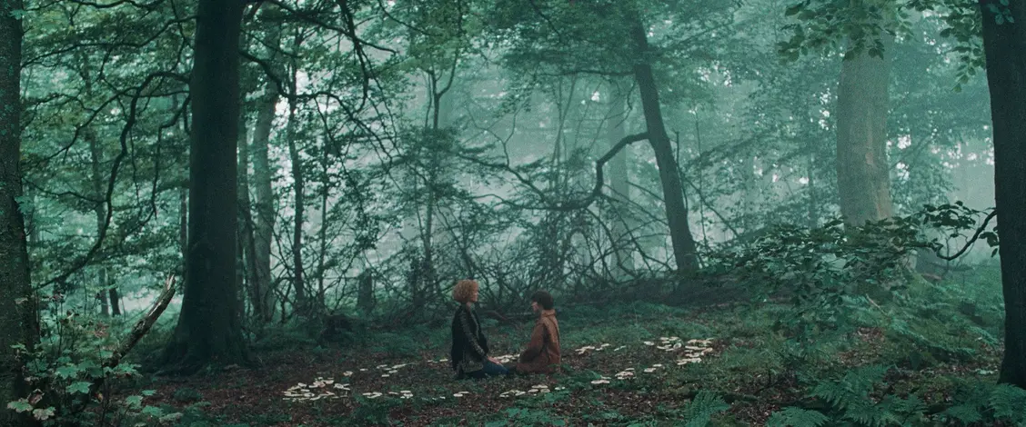 изображение галереи 1