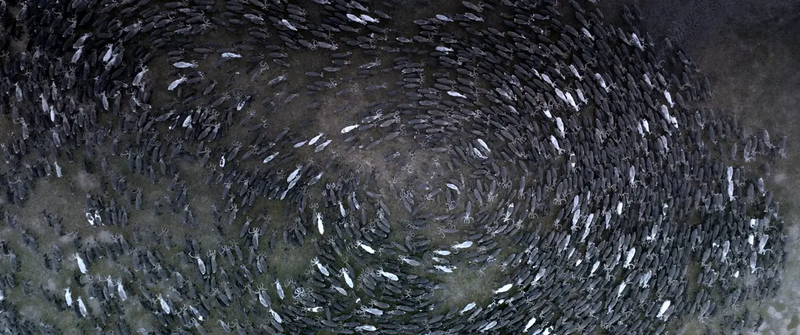 изображение галереи 1