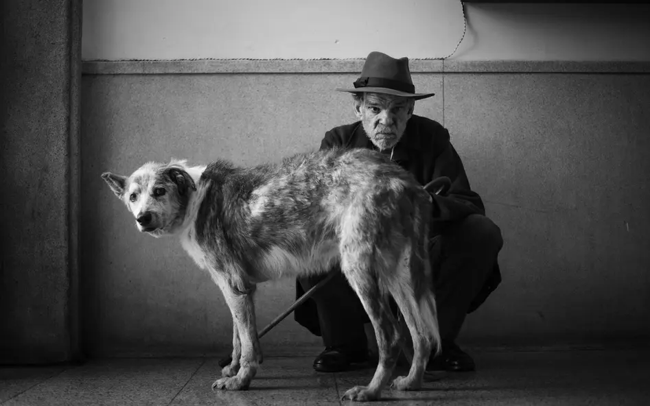 изображение галереи 1