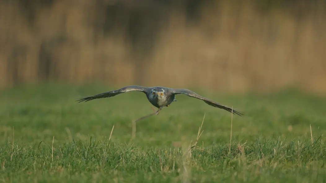 изображение галереи 1