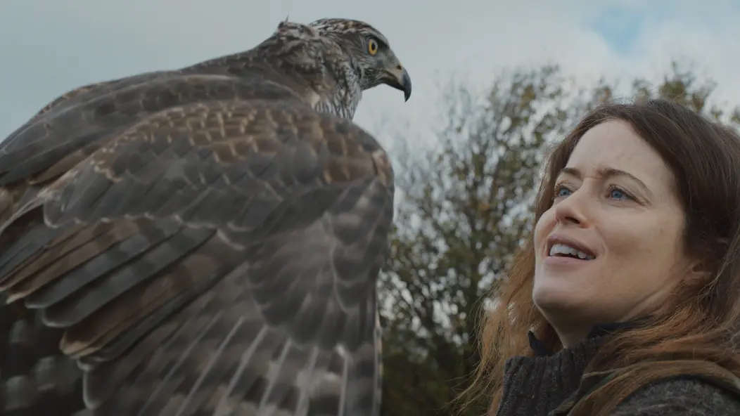 изображение галереи 1