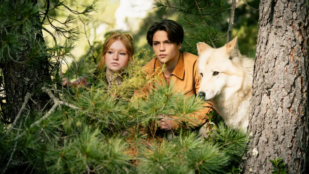 изображение галереи 1