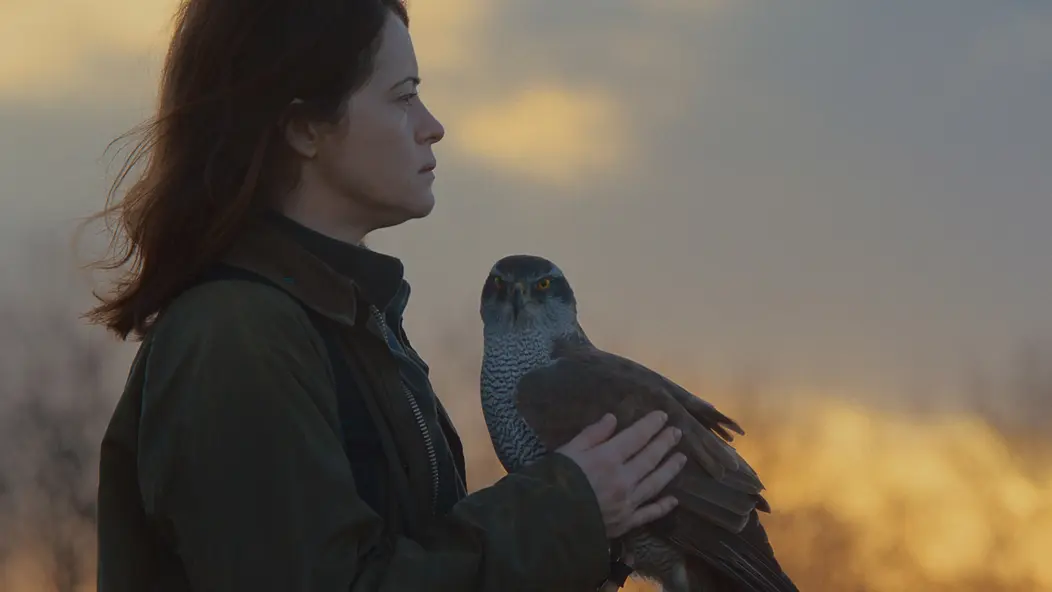 изображение галереи 1