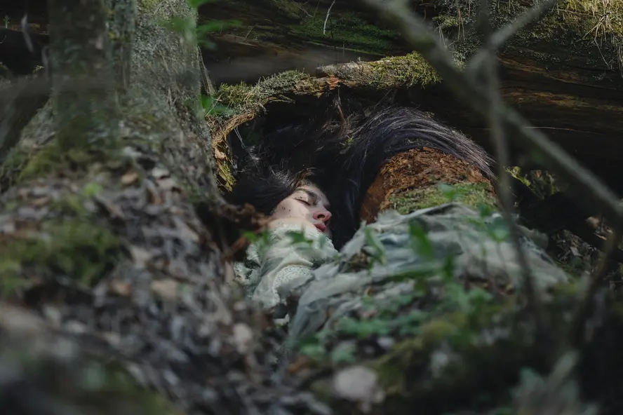 изображение галереи 1