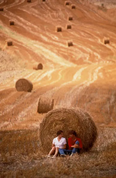 изображение галереи 1