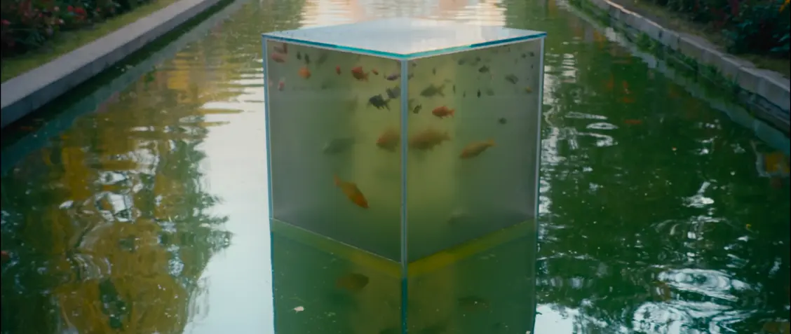 изображение галереи 1