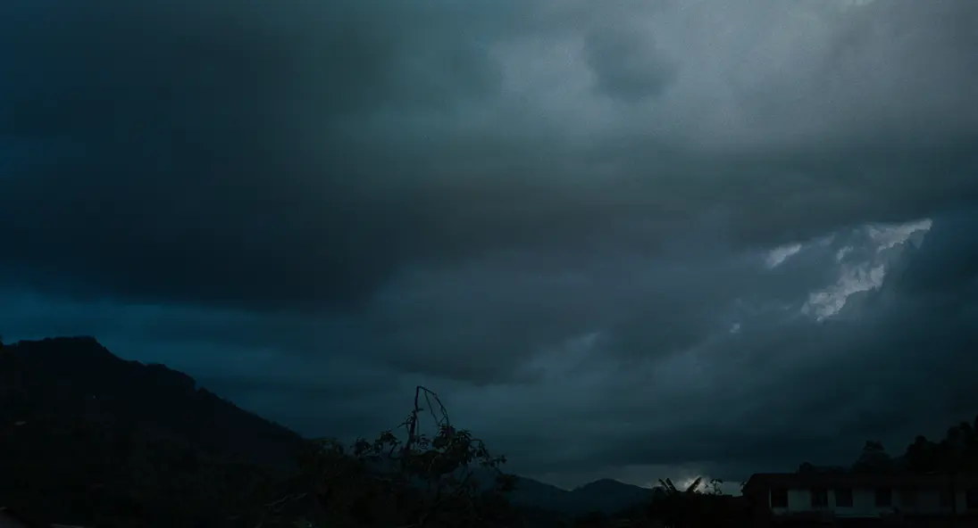 изображение галереи 1